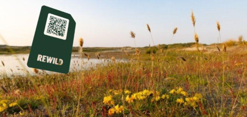 Rewild Mobile launches sim only service with all profits pledged to ...